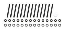 Load image into Gallery viewer, OTT10423.jpg