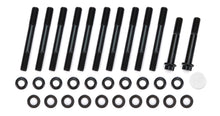 Load image into Gallery viewer, OTT10636.jpg