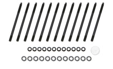 Load image into Gallery viewer, OTT10745.jpg