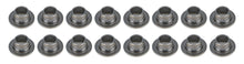 Load image into Gallery viewer, PACPAC-R643-16.jpg