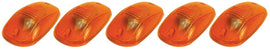 PCP20-246.jpg