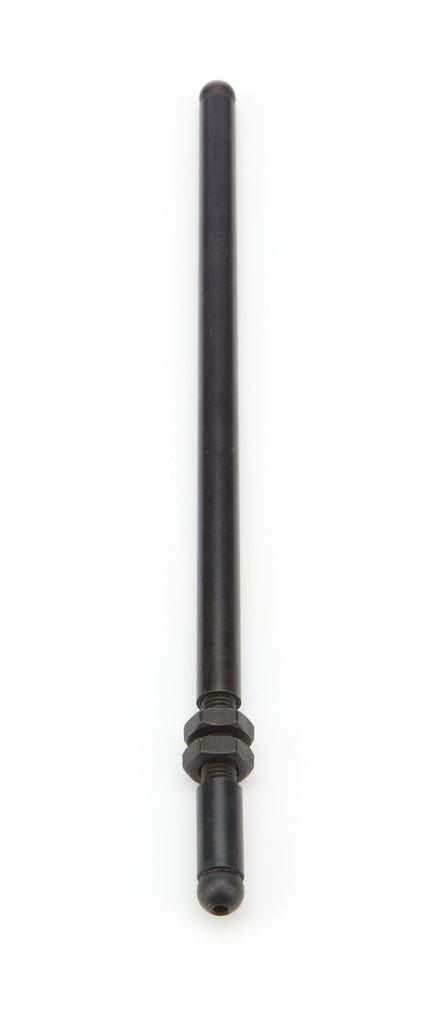 PFM67561.jpg