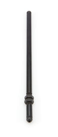 PFM67561.jpg