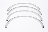 Stainless Steel Fender Trim Kit