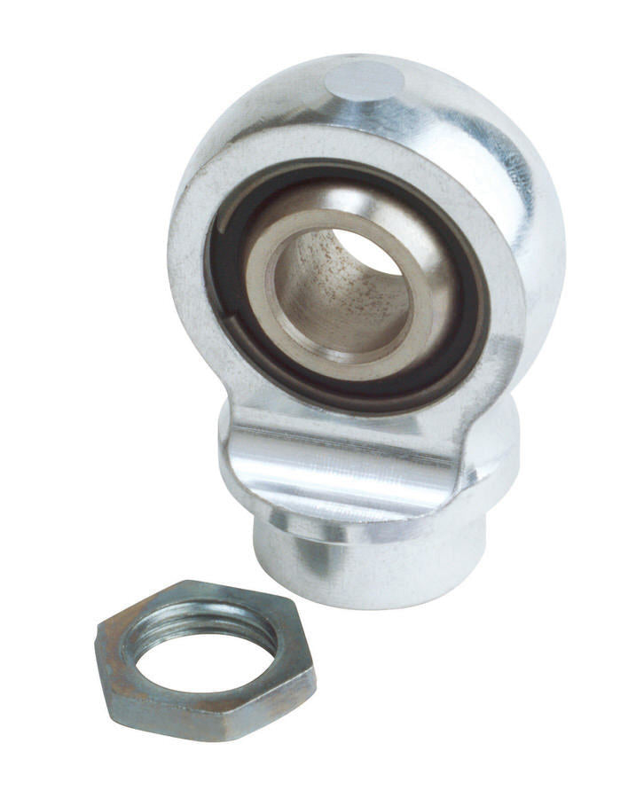 QA19036-105.jpg