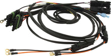 Load image into Gallery viewer, QRP50-2021.jpg
