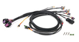 Wiring Harness MSD GM LS CT525Engine