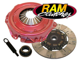 RAM98761.jpg