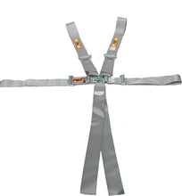 Load image into Gallery viewer, RCI9210PL.jpg