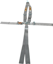 Load image into Gallery viewer, RCI9211PL.jpg