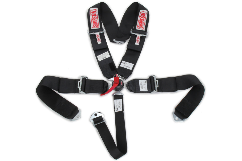 Simpson Safety 5 Pt Harness System CL P/D B/I 55in