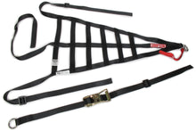 Load image into Gallery viewer, Simpson Safety Driver Net Corvette Left Poly 28in x 15-3/4