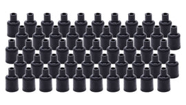 TAY44029.jpg