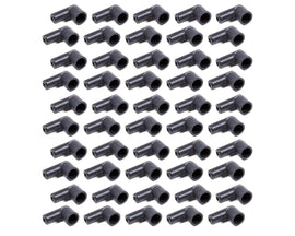 TAY44166.jpg
