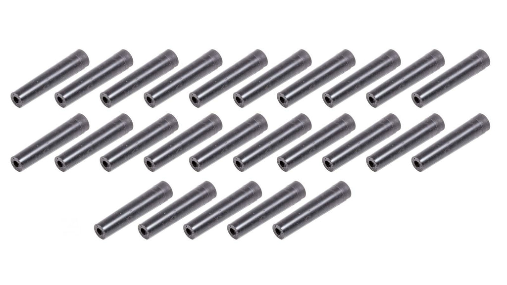 TAY46203.jpg