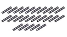 TAY46203.jpg