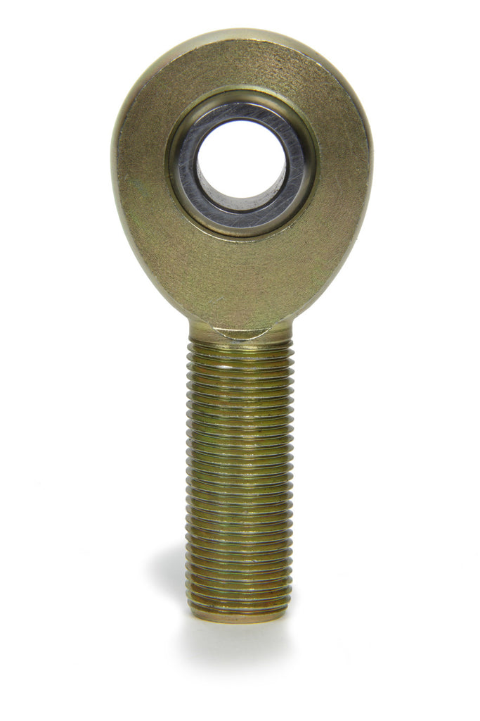TIP8267.jpg