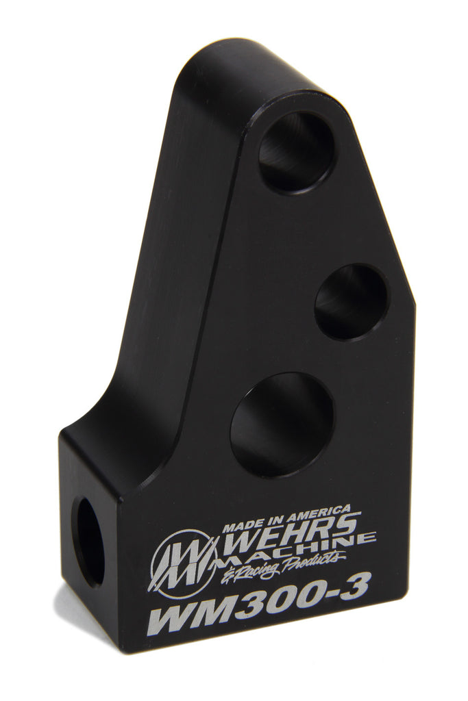 WEHWM300-3.jpg