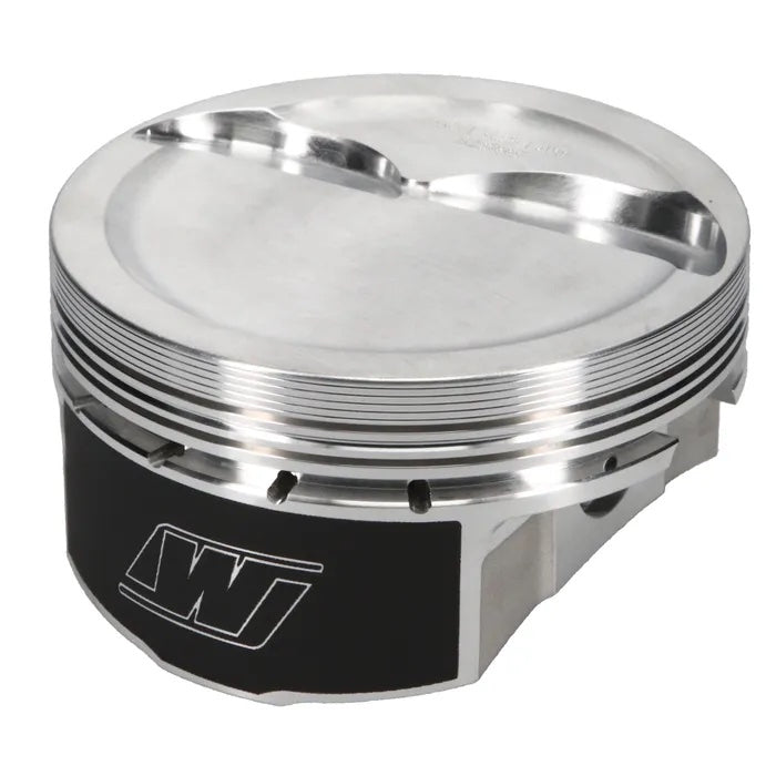 WISK0169X125.jpg