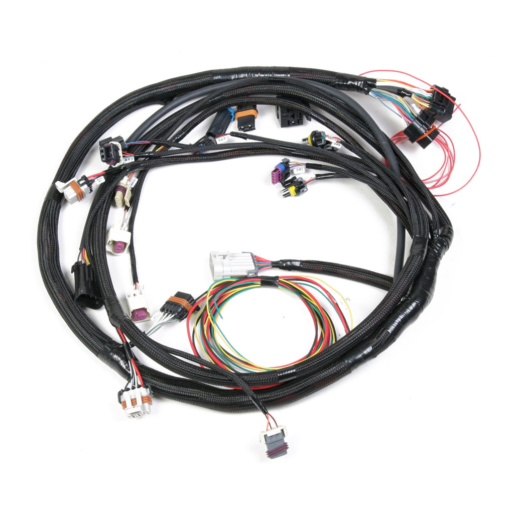 mainharness.jpg